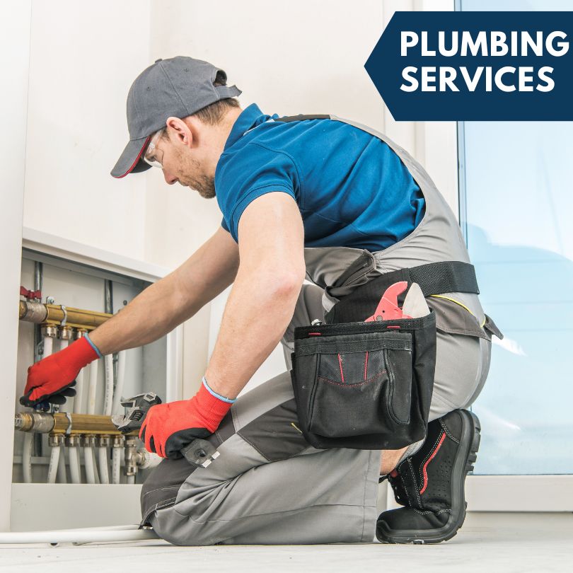 Moravia Plumbing Company